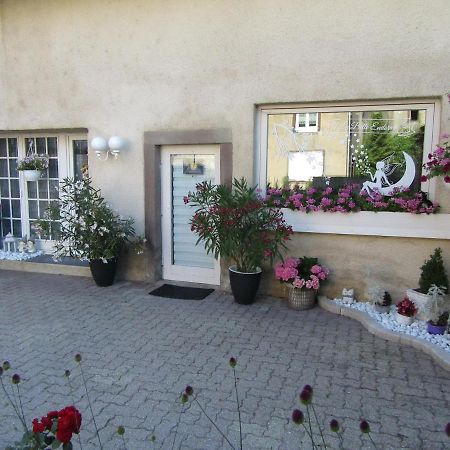 La Belle Endormie - Appartement A Fenetrange ภายนอก รูปภาพ