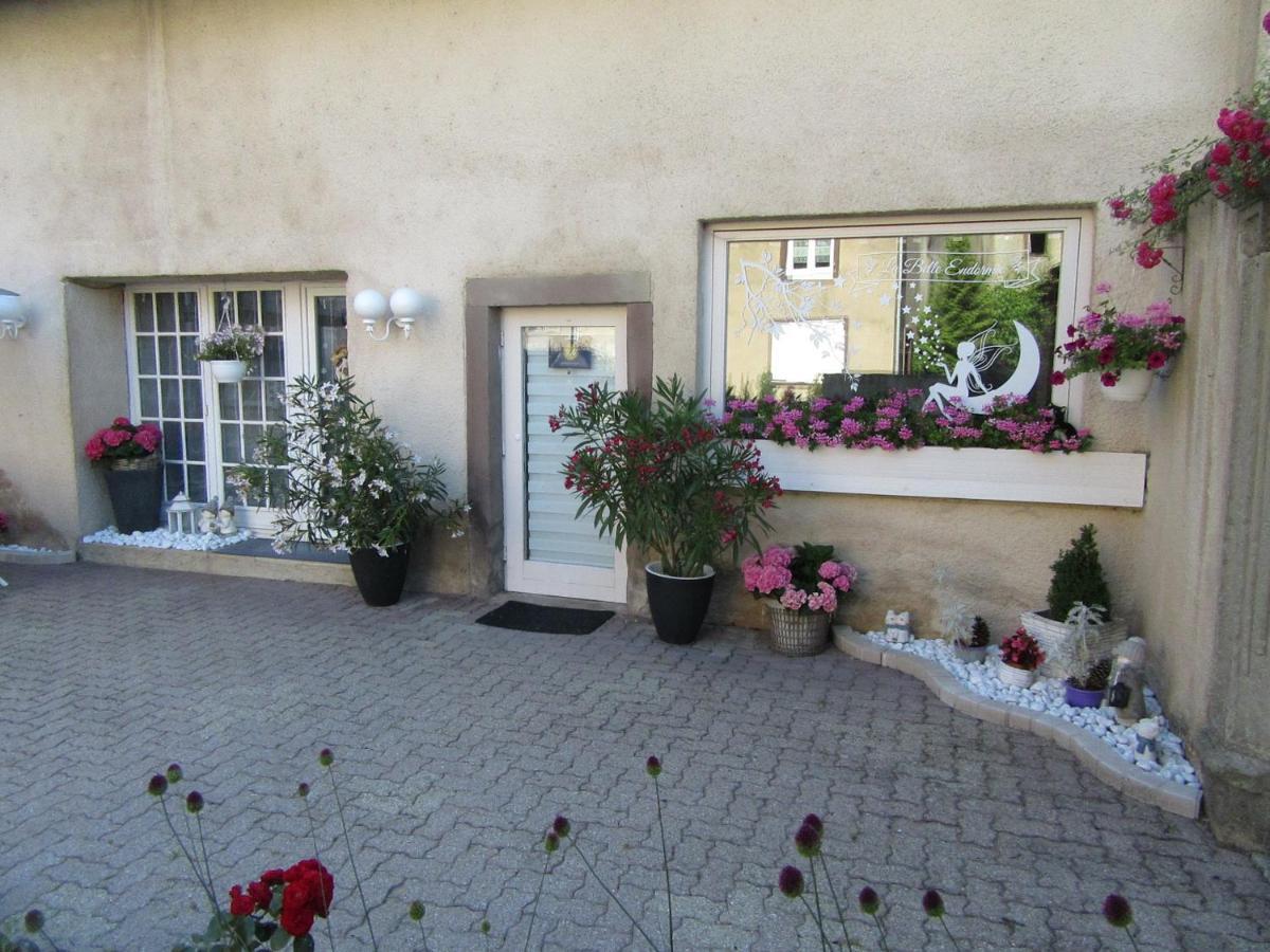 La Belle Endormie - Appartement A Fenetrange ภายนอก รูปภาพ